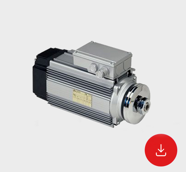 Scheda Tecnica Motori Asincroni Trifase/Monofase Serie HPE