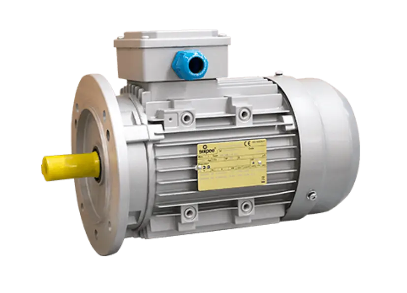 ATEX Explosion-proof Motors