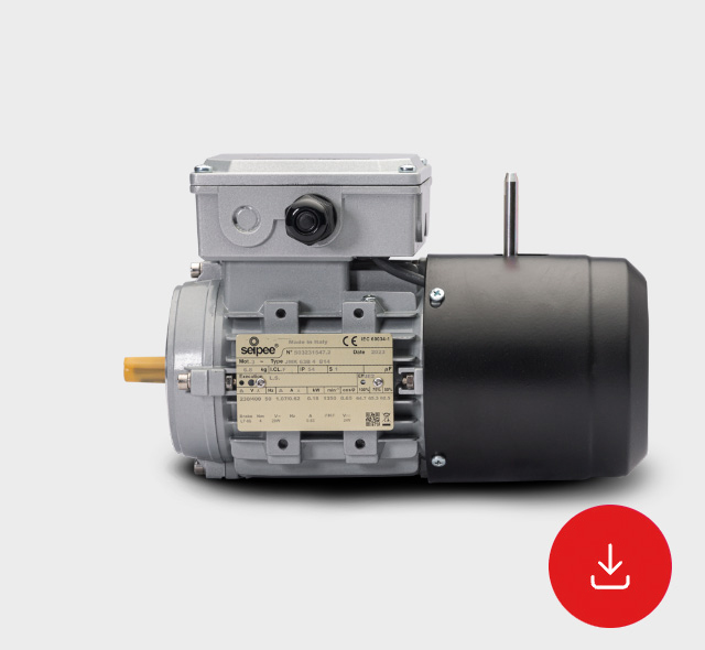 Scheda Tecnica Motori Asincroni Autofrenanti Serie JMK-GMK IE2-IE3