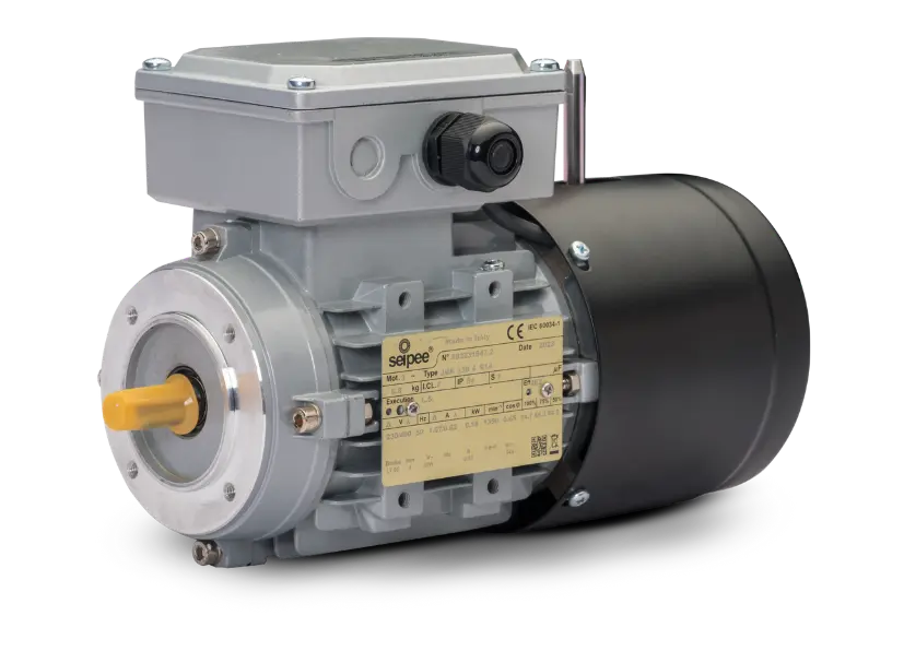 Self-braking Asynchronous Motors