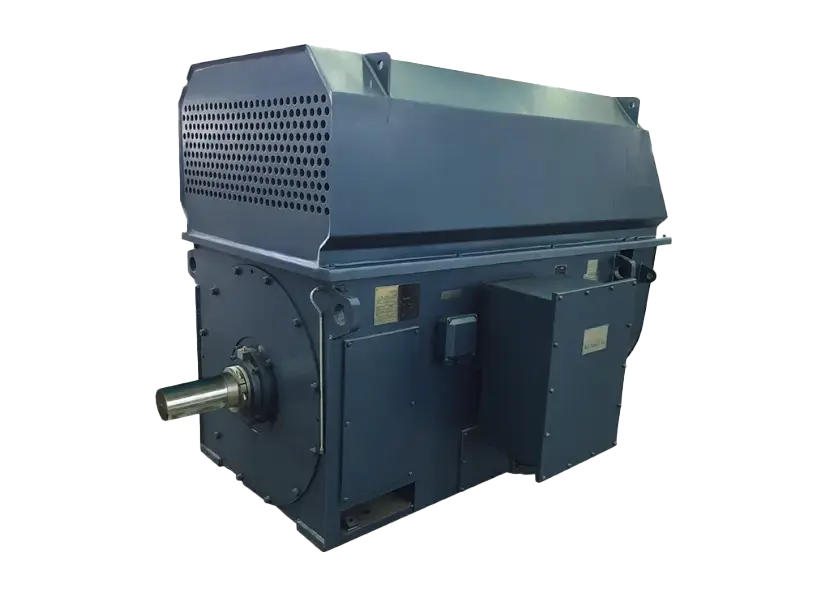 Medium and High Voltage Motors