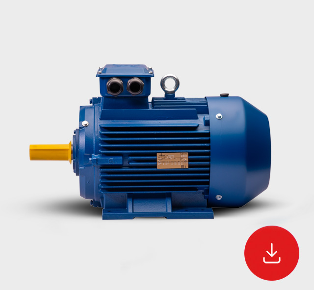 Scheda Tecnica Motori Asincroni Trifase Serie JMD-GMD IE4