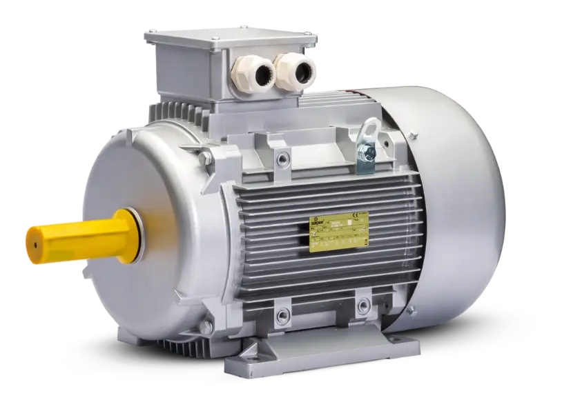 Three-phase Asynchronous Motors