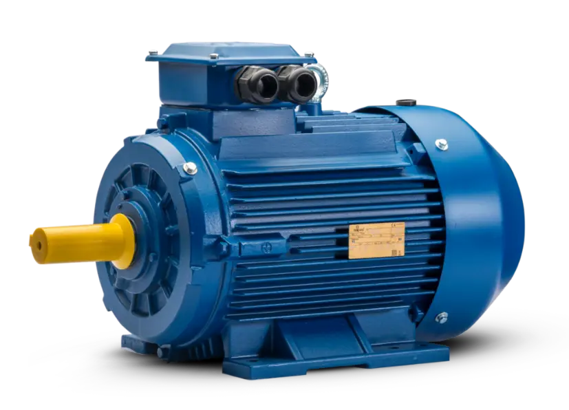 Synchronous Reluctance Motors