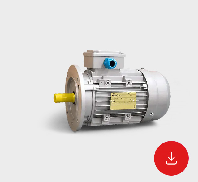 Scheda Tecnica Motori Asincroni Trifase Atex Serie AX