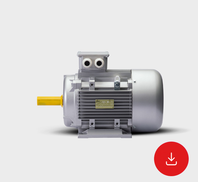 Scheda Tecnica Motori Trifase Serie JM-GM  IE4 